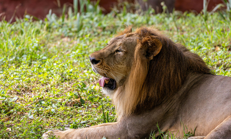 Zoo de Beauval (1).jpg